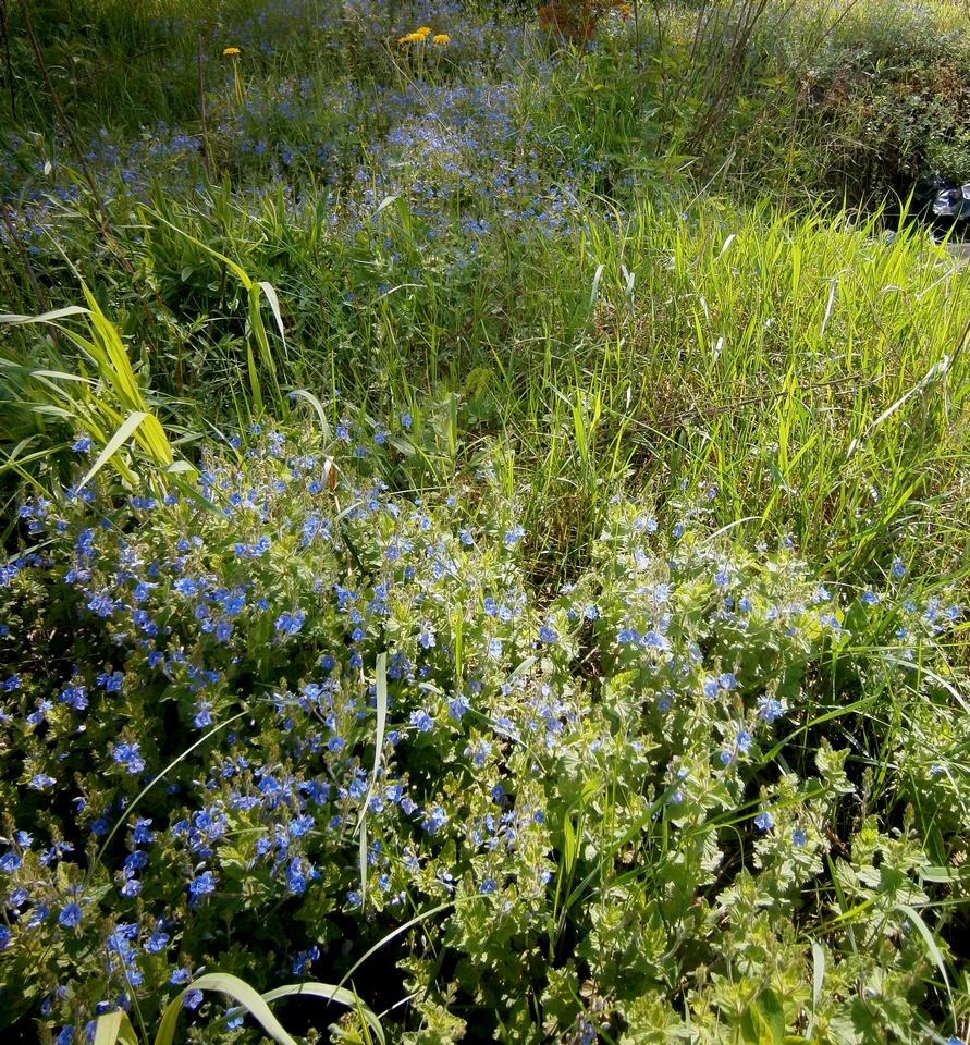 P2261409l.jpg