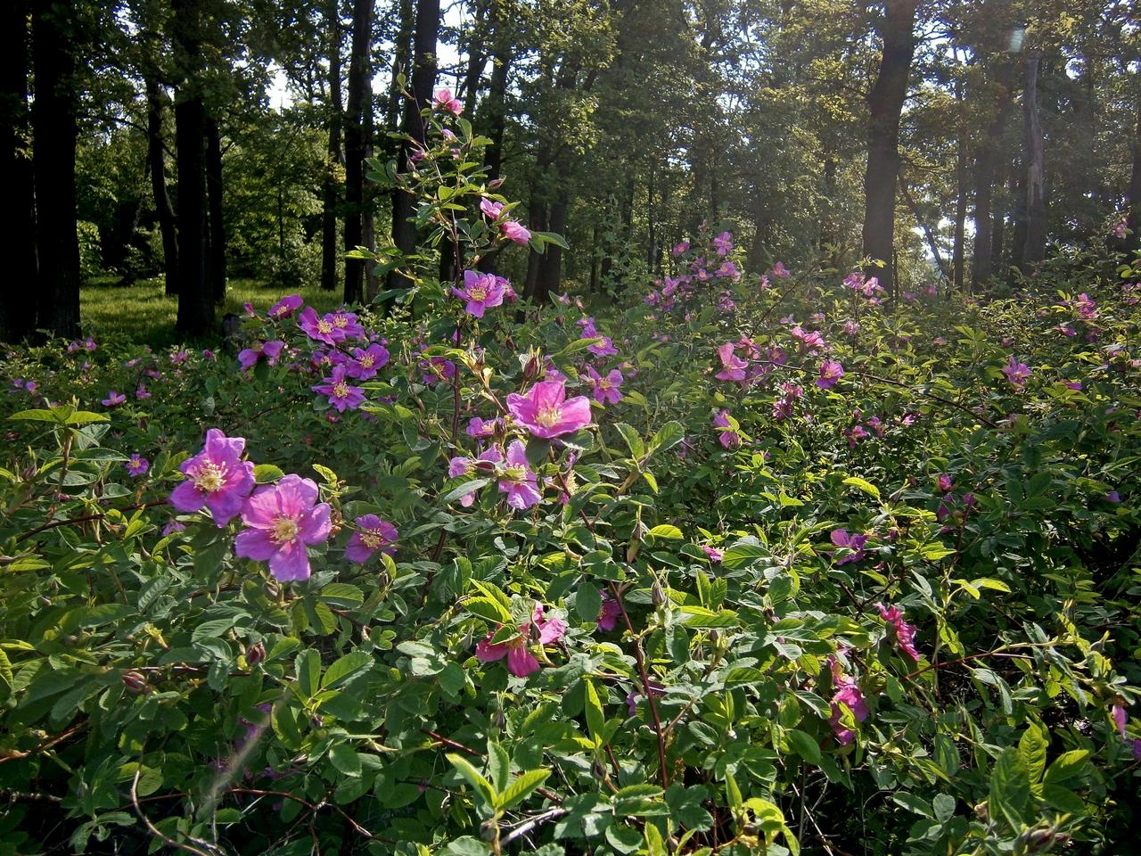 P2291422ttg.jpg