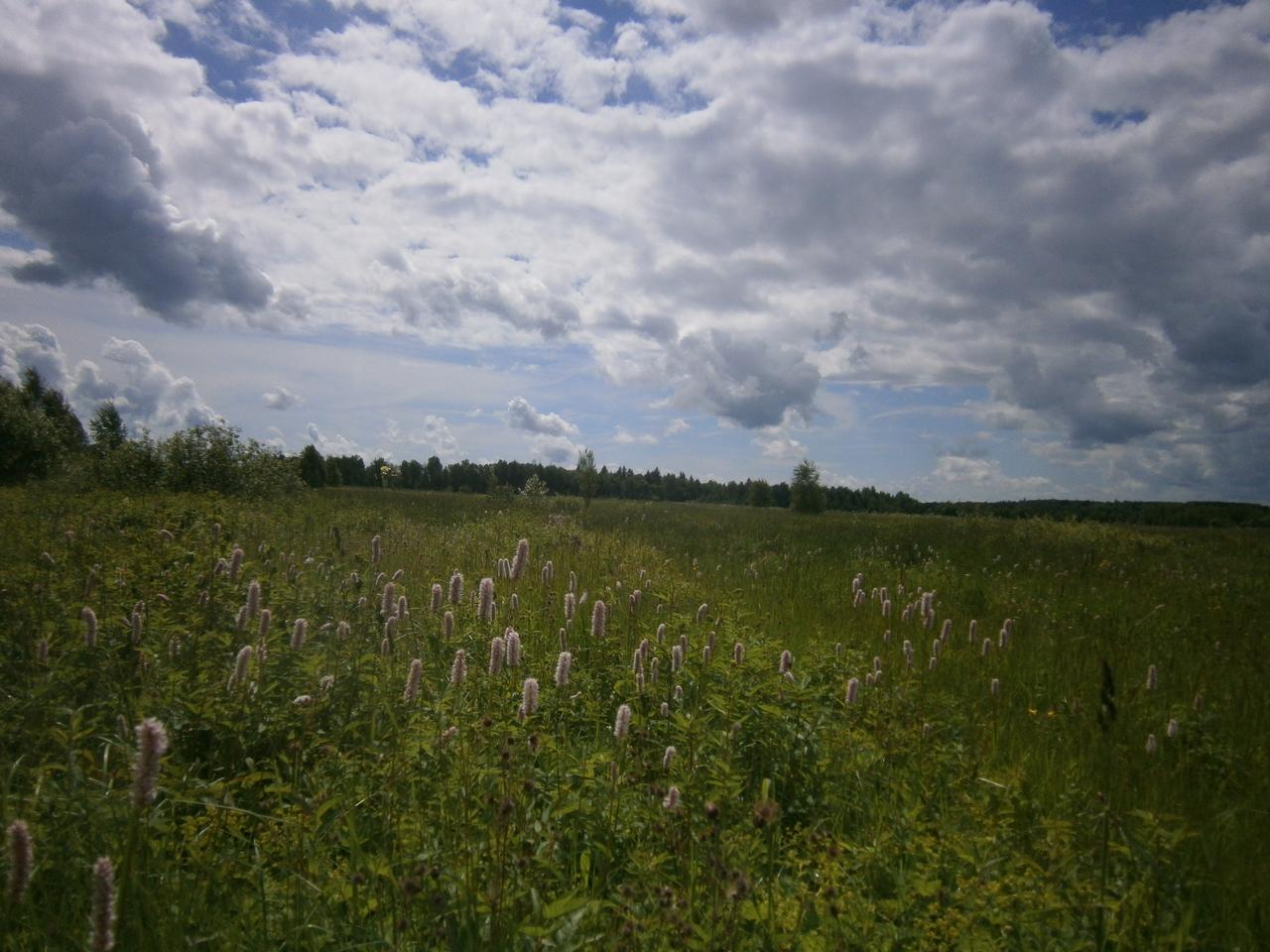 P3131472g.jpg