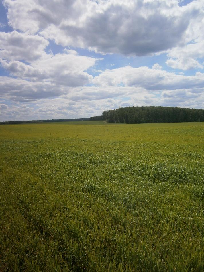 P3171512k.jpg