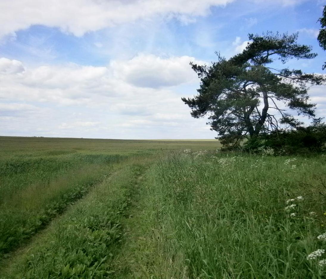 P3171520j.jpg