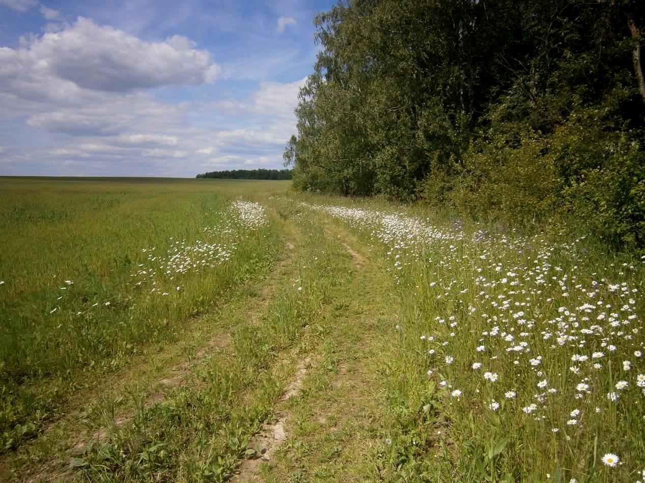 P3171521i.jpg