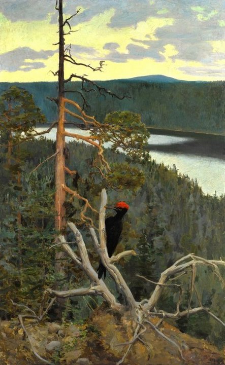 Palokärki_by_Akseli_Gallen-Kallela.jpg