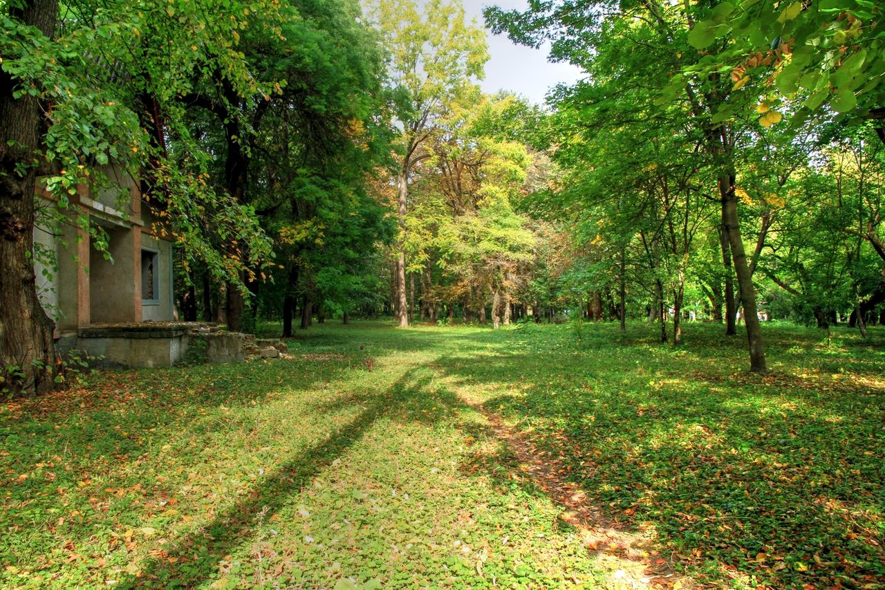 Parc_Temeleuti_Floresti_(7).jpg