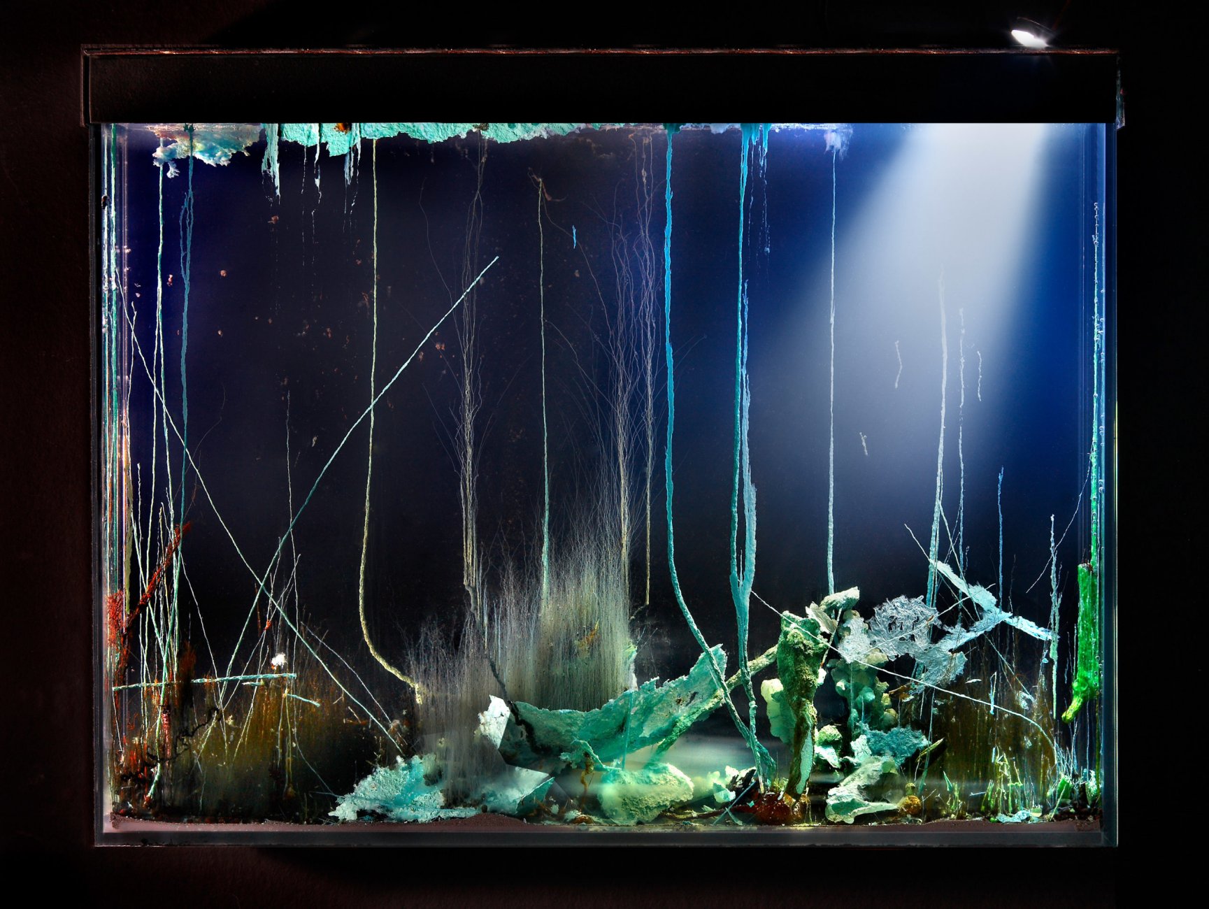 presageaquarium001067-3-scaled.jpg