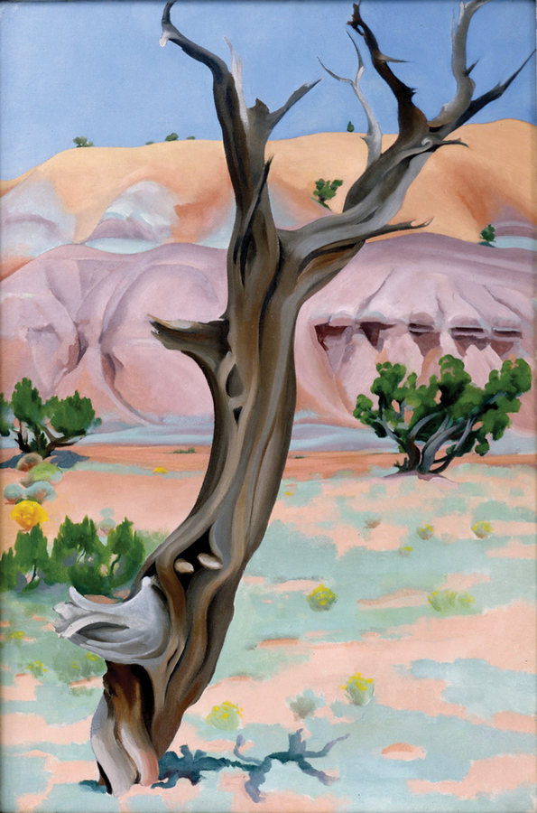 ps_okeeffe2_0921.jpg