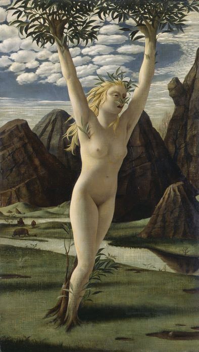 pyke-koch--daphne.jpg