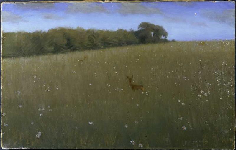 rehe_abenddaemmerung_blumenwi_hi.jpg