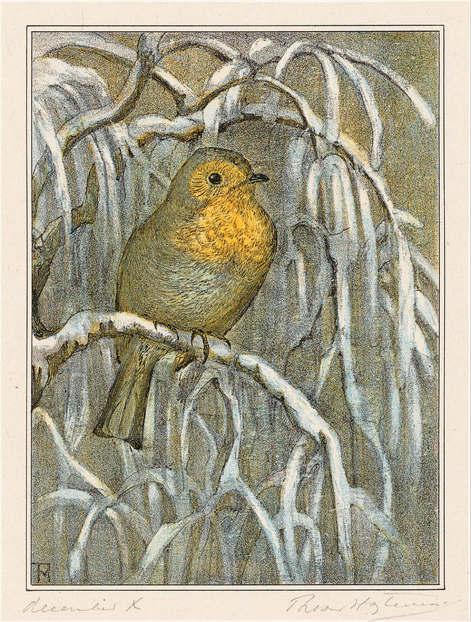 robin-on-snowy-tree-branch-theo-van-hoytema.jpg