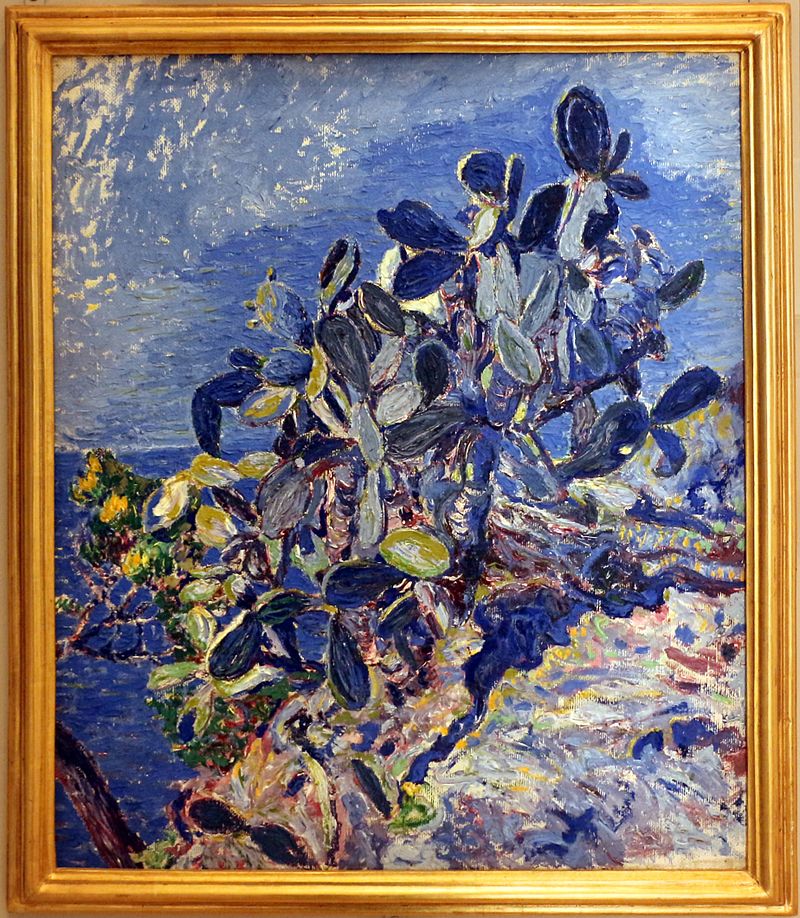 Rubaldo_merello,_piante_grasse,_il_fico_d'india,_1920-22_ca.jpg