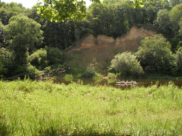 SDC10003.JPG