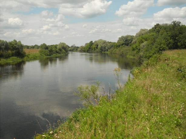 SDC10020.JPG