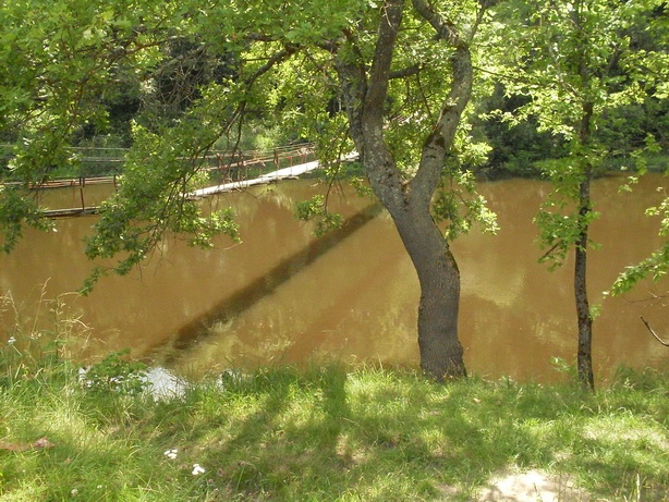 SDC10031.JPG