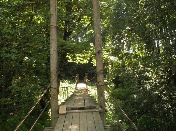 SDC10047.JPG