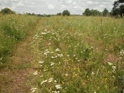 SDC18856_.jpg