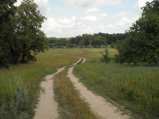 SDC18863_.jpg