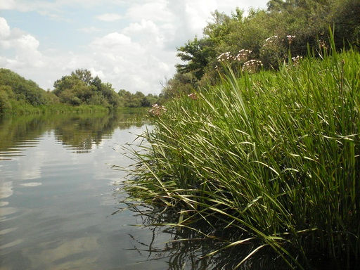 SDC18881_.jpg