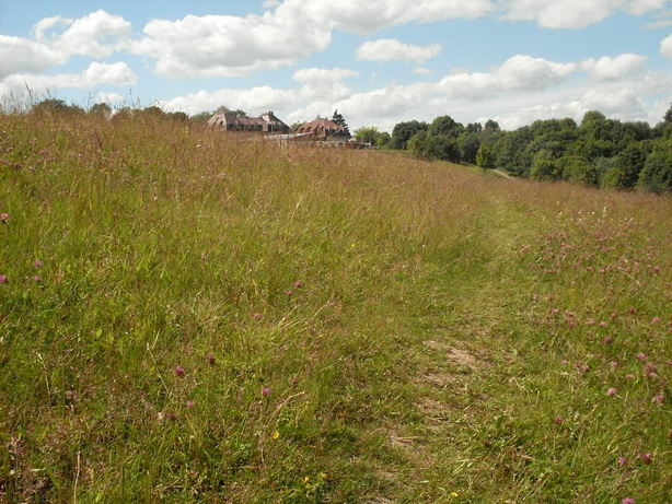 SDC19923.JPG