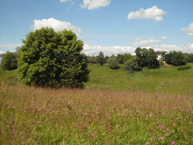 SDC19924.JPG