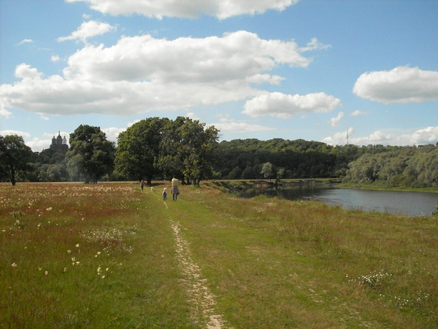SDC19957.JPG