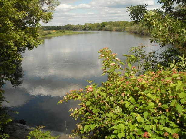 SDC19970.JPG