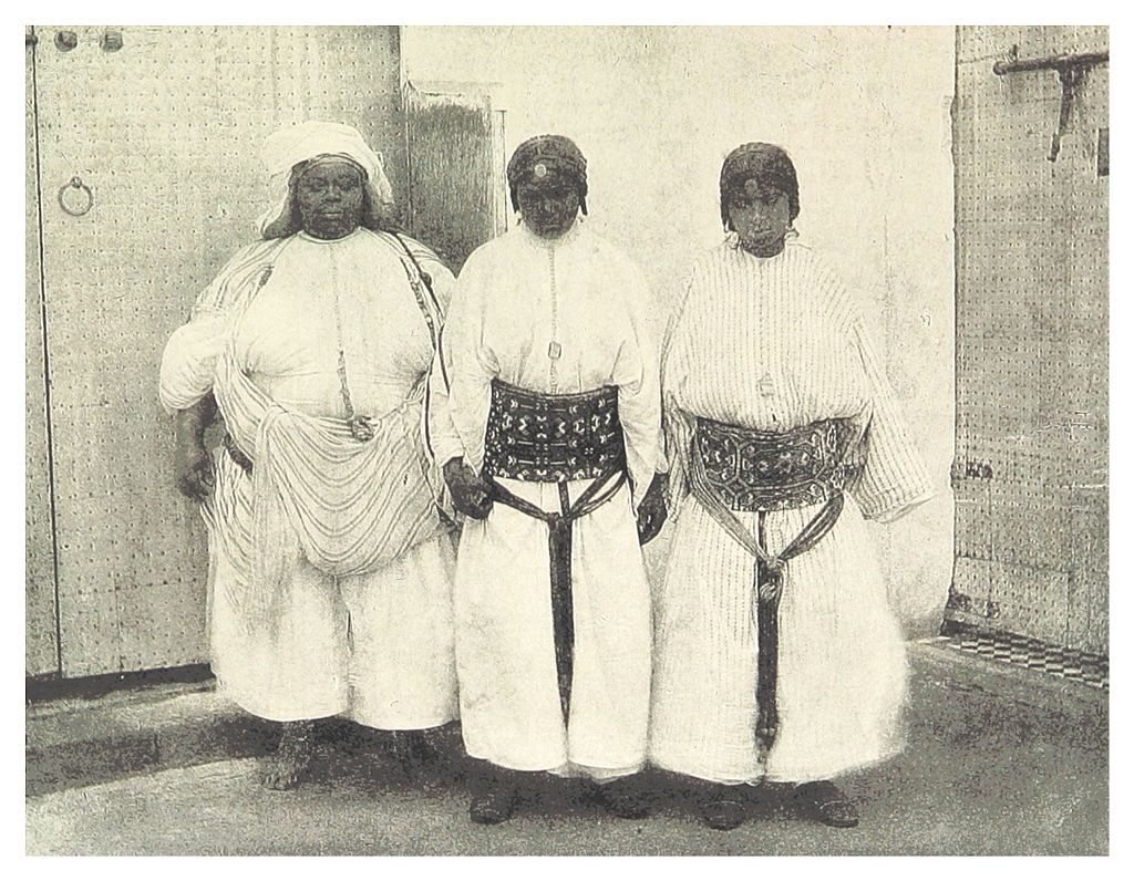 TROTTER(1881)_p255_THE_SULTAN'S_SUBSTITUTES.jpg