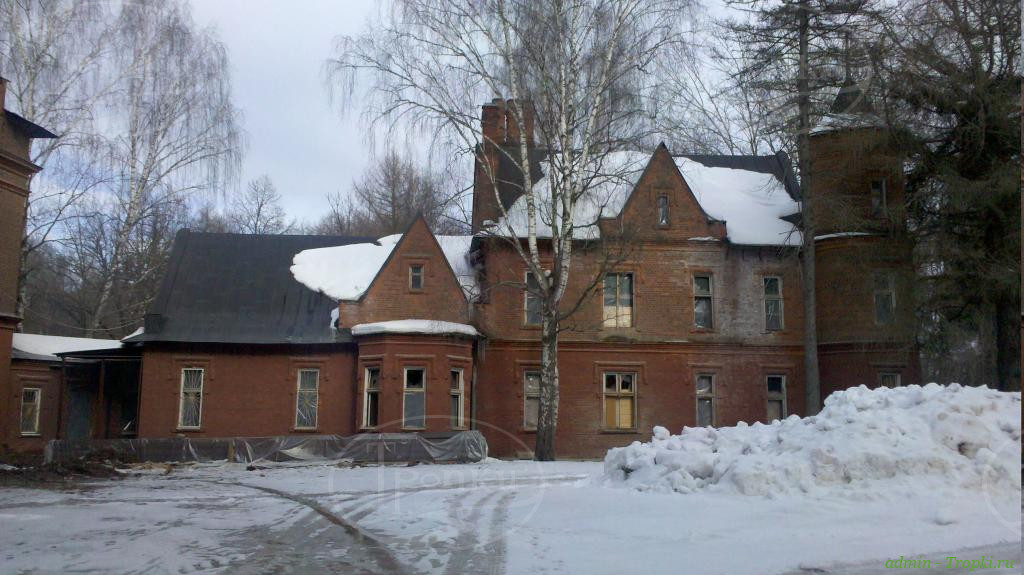 usadba_vasilevskoe_zamok.jpg