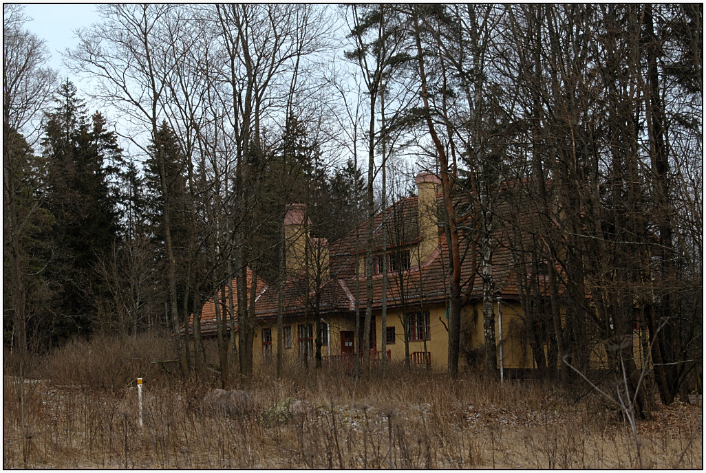 Villa_Elfvik.jpg