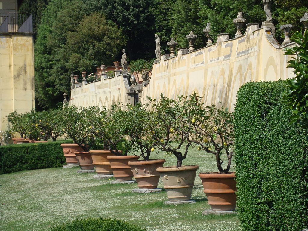 Villa_gamberaia,_limoni_01.JPG