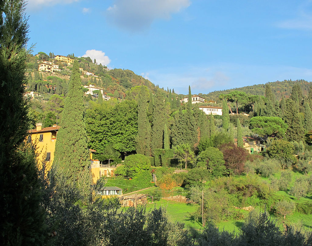 Villa_sparta,_uliveti_02.JPG