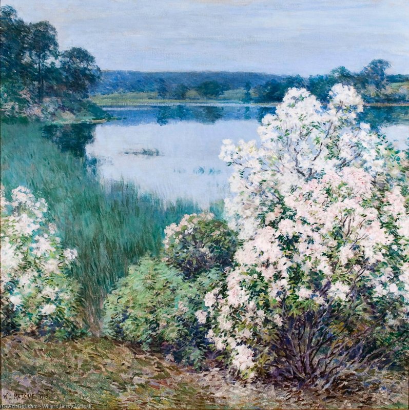 Willard_leroy_metcalf-kalmiaа.jpg
