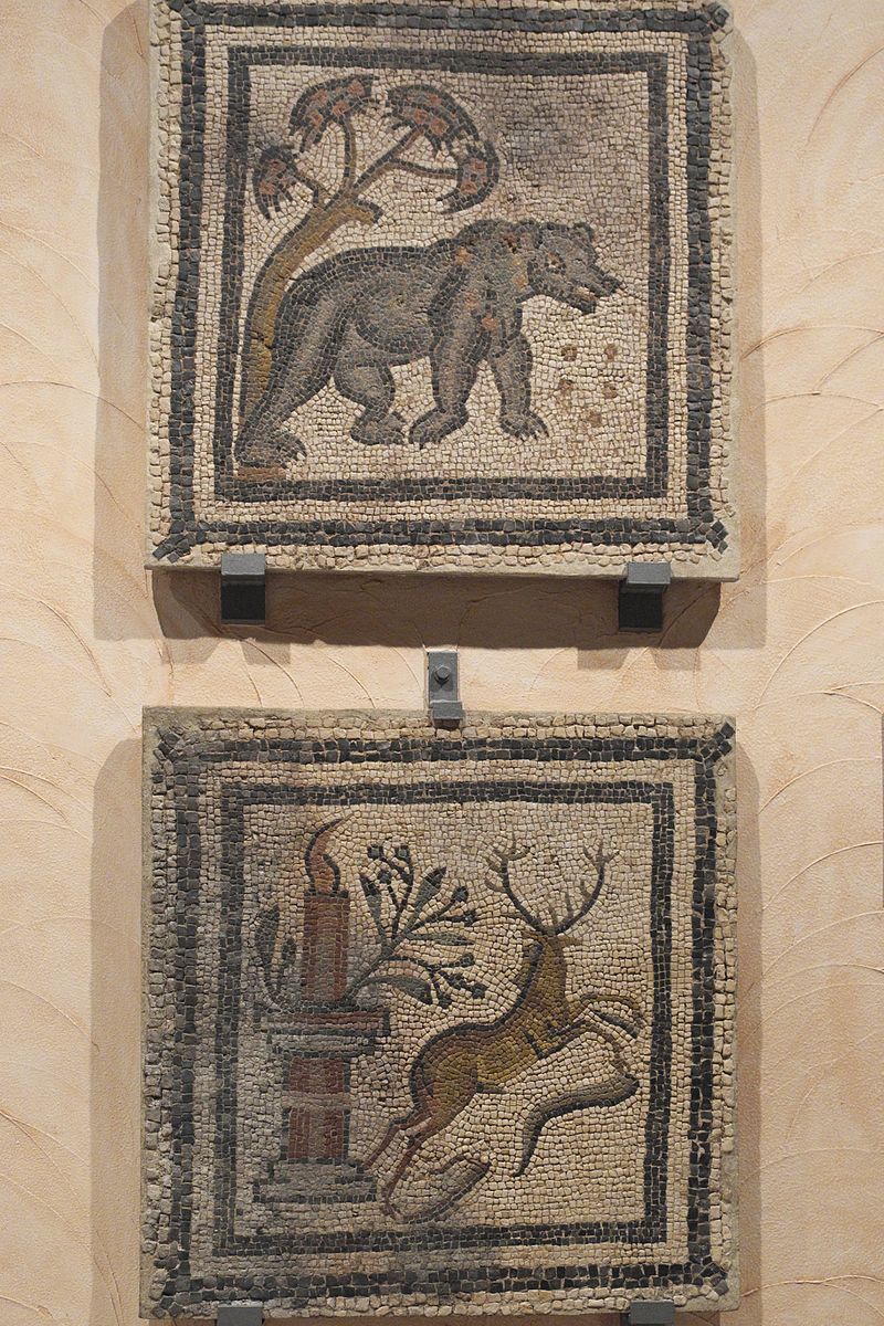 Zaragoza_Museo_de_Zaragoza_Mosaico_567.jpg