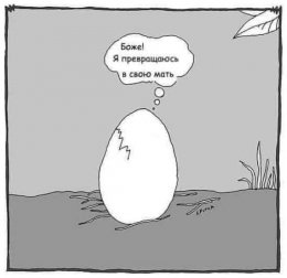 арии.jpg