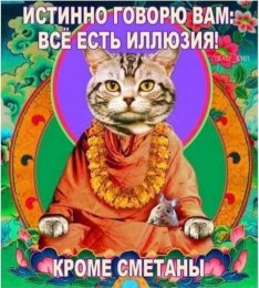 арр.jpg