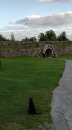 IMG_20260826_173312_527.jpg