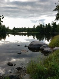 IMG_20260826_174137_356.jpg