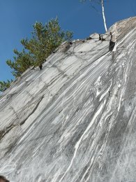IMG_20260828_125041_631.jpg