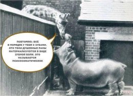 Психосоматика.jpg