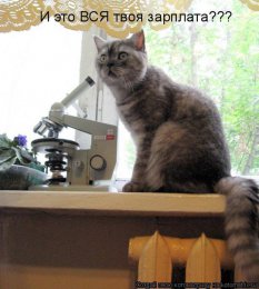 И это вся зарплата.jpg