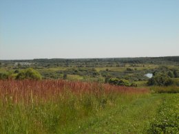 SDC18967.JPG