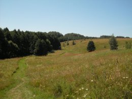 SDC18980.JPG