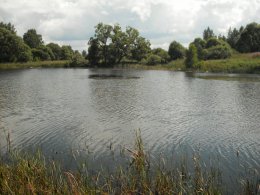 SDC19020.JPG