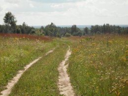 SDC19052.JPG