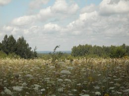 SDC19047.JPG