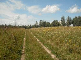 SDC19062.JPG