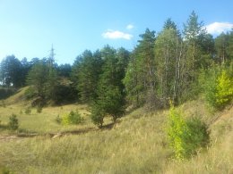 20150804_165122_1.jpg