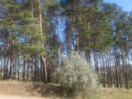 20150804_165252_1.jpg
