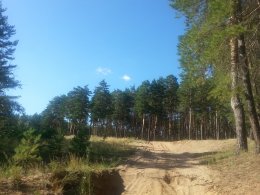 20150804_165330_1.jpg