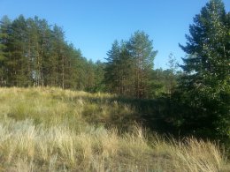20150804_165958_1.jpg