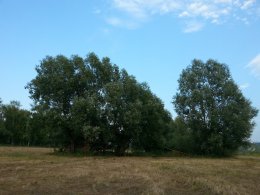 20150810_184900_1.jpg